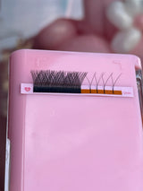 Pink Tray “Y” Lashes – .05 MIX C/CC/D/DD (8–17mm) | Trish Co